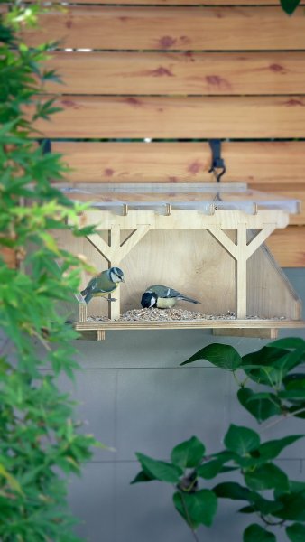 REXOdesign® Vogelhaus